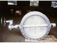 ʒ (BUTTERFLY VALVE)